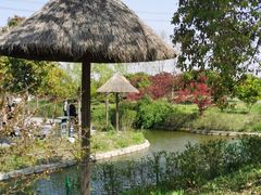 -上海杨姆庄园