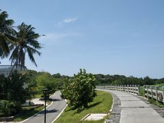 -沙美村