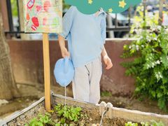 -满天星幼儿园(北京太阳宫园)