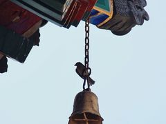 -西安市广仁寺