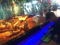 -昆明大悦城未来动物城(螺蛳湾中心店)
