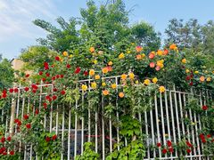 -元大都城垣遗址公园