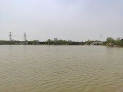 -大港湿地公园