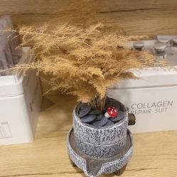 点击看大图 -塑青春&伊肤泉祛痘皮肤管理