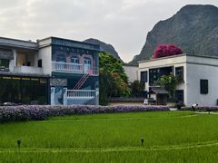 -明仕田园
