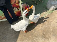 -中国翰园碑林