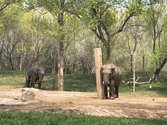 -北京野生动物园