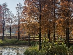 -凤凰沟景区