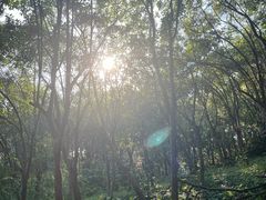 -南京市江宁方山