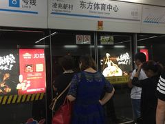 -东方体育中心(地铁站)