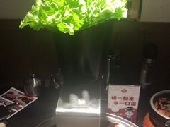 -九田家黑牛烤肉料理(宽城万达店)
