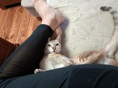 -中农国际动物医院24小时·猫科·骨科·急重症中心