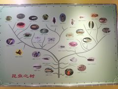 -上海昆虫博物馆