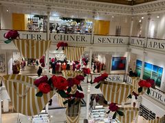 -乐蓬马歇百货公司(Rive Gauche)