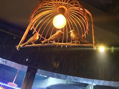 -盛天毛血旺非遗美食(观音桥店)