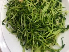 蒜苗炒豆苗-四海之家(蛇口店)