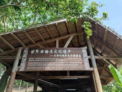 -海南槟榔谷黎苗文化旅游区