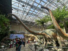 -国家自然博物馆