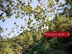-大奇山国家森林公园