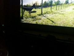 -天幕新彩云国际影城(激光巨幕店)