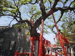 -杨家埠民间艺术大观园