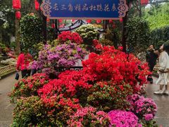 -惠山古镇·寄畅园