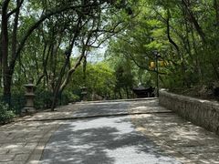 -灵岩山风景区