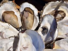 -蚝堡海鲜·威海菜·海肠捞饭·烧烤·亚洲吃蚝公司(幸福门店)