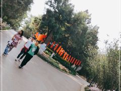 -昆明动物园
