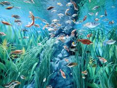 -上海海洋水族馆