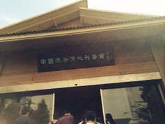 溱湖国家湿地公园-溱湖国家湿地公园