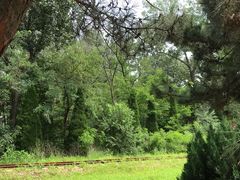 -南戴河国际娱乐中心