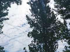 -户县老龙窝酒厂