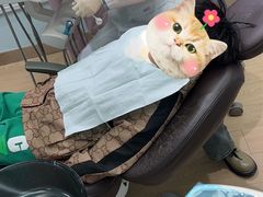 -卓尔美笑口腔·种植·矫正·儿童颜面管理(辽宁街店)