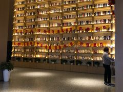 -深影国际影城(学院南路店CGS中国巨幕店)