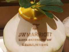 -三亚绿发山海天JW万豪酒店