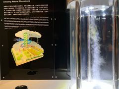 -正佳自然科学博物馆