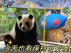 -广州长隆野生动物世界
