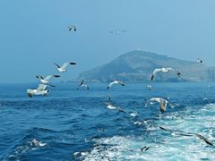 -海驴岛(荣成市)