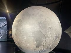 -贝林大翅鲸简餐厅(国家海洋博物馆店)