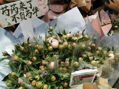 -盒马鲜生(大成店)