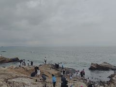 -日照海滨国家森林公园