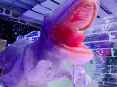 -宁波冰雪大世界(北仑区)