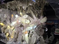 -湖南省地质博物馆