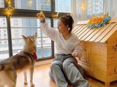 -Husky Go! 哈士奇体验馆·宠物咖啡厅狗咖