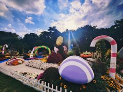 -上海共青森林公园