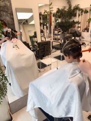 -Hair  Gallery