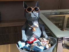 -飞行喵MR PILOT|猫舍·猫咖(静安大融城店)