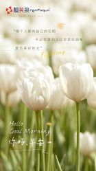 -靓芙泉专研痘痘肌