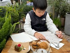 -自由生长植物工作室(深港花卉中心店)